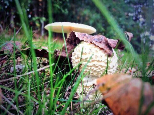 20229272_120153348524148_6800942821001512620_n