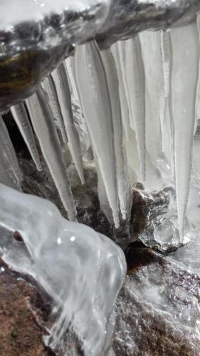 20232379_120147021858114_2903614289860451348_o