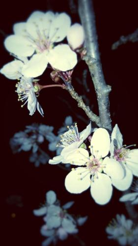 20280319_120147101858106_8592884062130557814_o