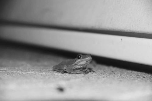 20368851_120151761857640_173040780950170002_o