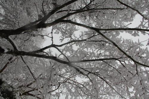 38639278_239964656543016_230954152581136384_o