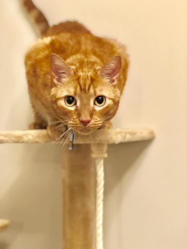 44323392_567883526977410_4779554067867238400_o